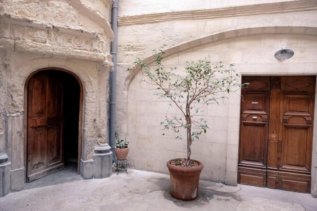 Noa - Mont Piete Studio Intramuros - Αβινιόν Εξωτερικό φωτογραφία